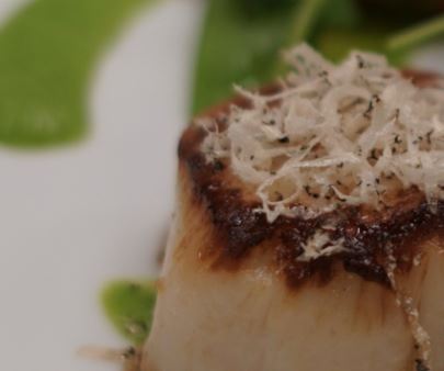 Bay Scallops